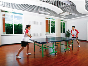 ƹ������