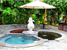 ��ζ���ճ�