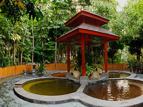 ��ζ������