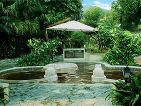 ǿ�����ǳ�